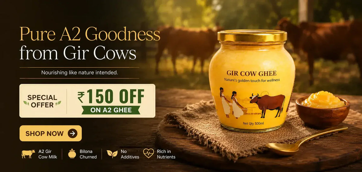 Jar of Gir Cow Ghee
